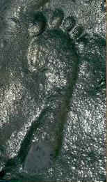 Один из следов, обнаруженных ученым Уилбором Г. Берроузом в Маунт-Вернон, США. артефакты истории человечества